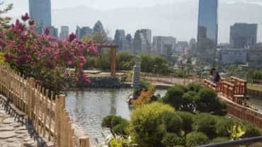 Todo lo que debes saber del renovado Jardín Japonés del Parque Metropolitano